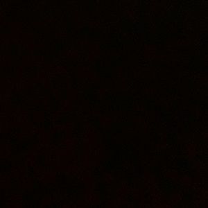 Meet your Posher, Josie